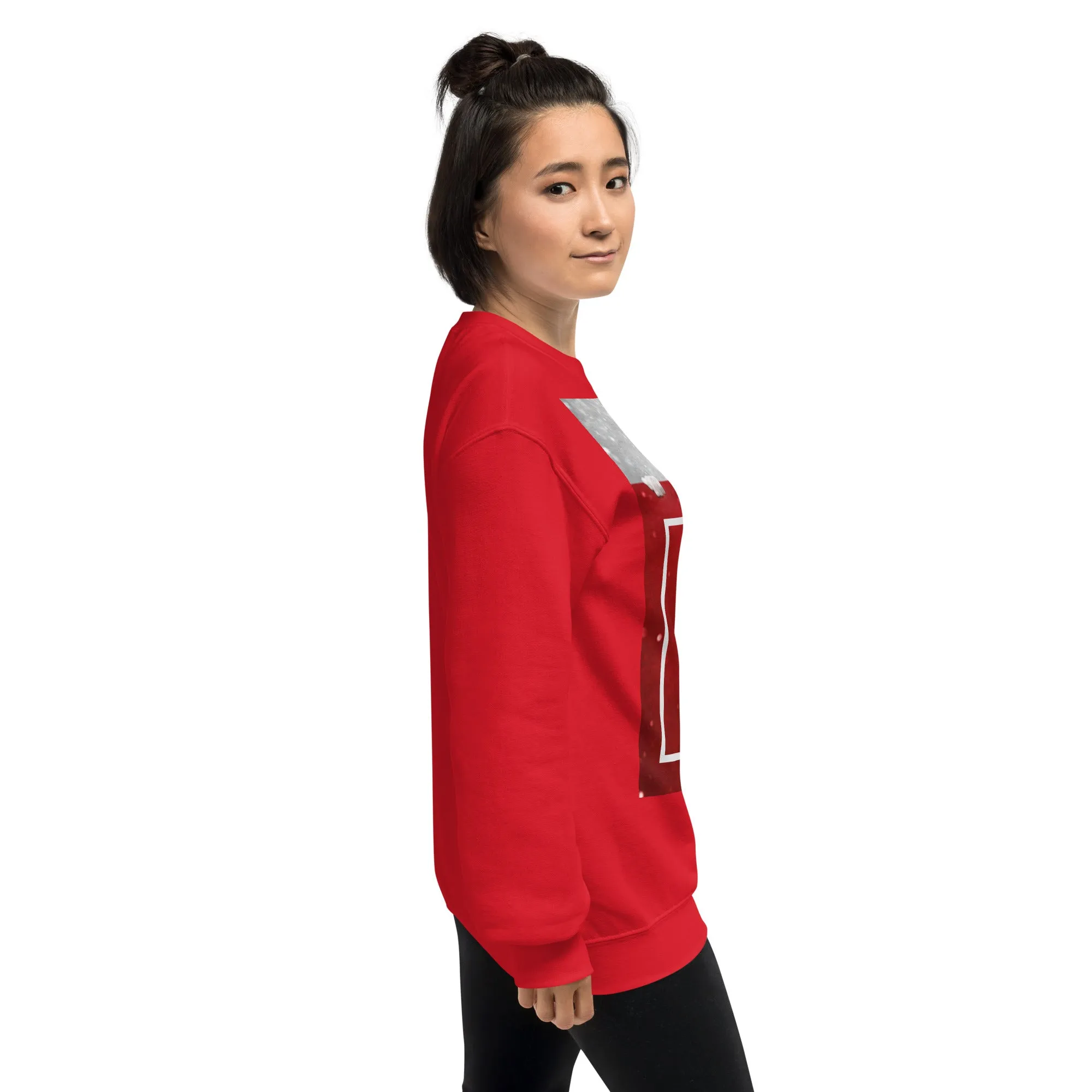 Dear Santa Christmas Sweatshirt (Glamourange Christmas Sweatshirt Womens)